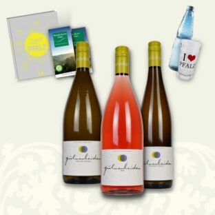 Pfalzwein-Paket vom Weingut GutvonBeiden