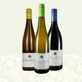 Piwi-Weinpaket Weingut GutvonBeiden